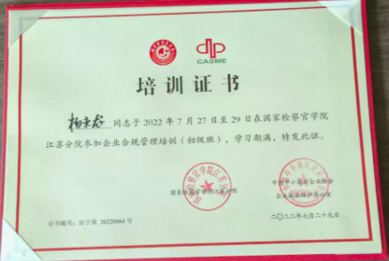 隆腾荣誉10
