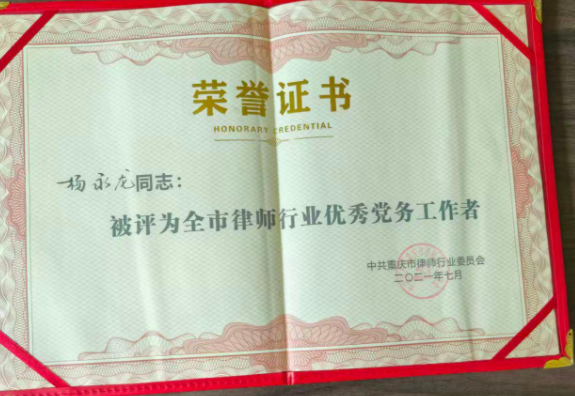 隆腾荣誉11