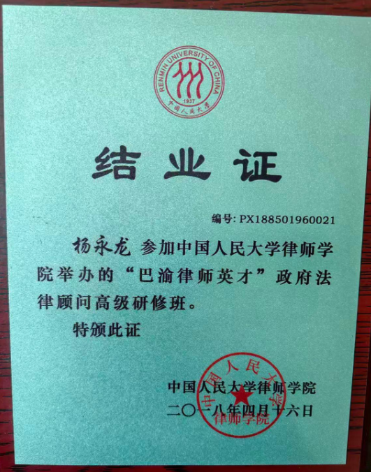 隆腾荣誉12
