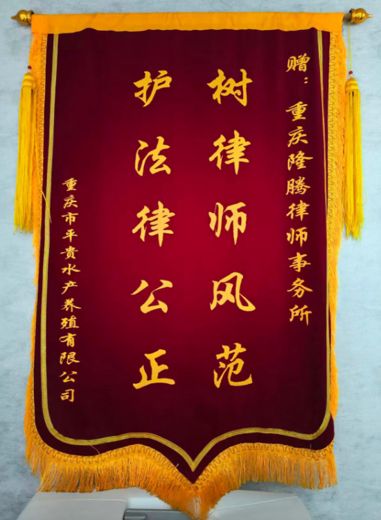 隆腾荣誉14